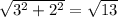 \sqrt{3^2+2^2}=\sqrt{13}