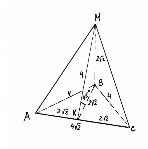 Основание пирамиды - равнобедренный прямоугольный треугольник с гипотенузой 4 корня из 2 см.боковые