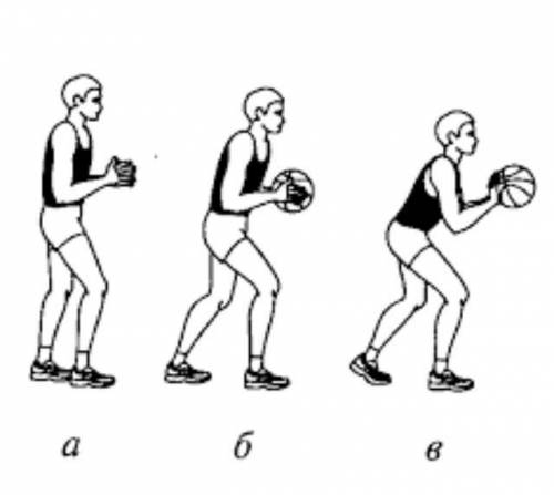 Какая стойка у баскейболиста ?
