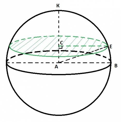 Радиус шара равен13. плоскость проходит на расстоянии 5 от центра шара. найдите радиус круга в сечен