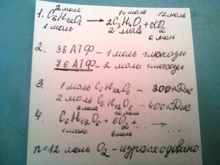 Впроцессе энергетического обмена произошло расщепление 7 молекул глюкозы, из которых полному расщепл