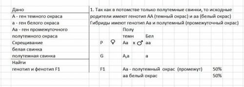 При скрещивании тёмных морских свинок(шиншилла) с белыми (альбинос) получаются гибриды с промежуточн