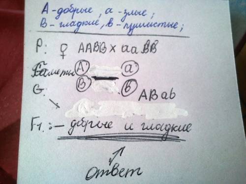 Укошек добрые над злыми.ген пушистости речесивен какое потомствоf1и f2 можно ожидать от скрешевания 