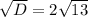 \sqrt{D}=2\sqrt{13}