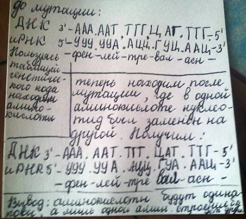 Ланцюг молекули днк до мутації: аат тгг цаг ттг після мутації: аат тгг цат ттг визначити будову полі