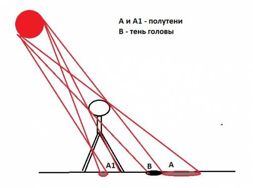 1.почему тень ног на земле резко очерчена,а тень головы более расплывчита? прри каких условиях тень 