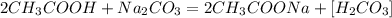  2CH_{3}COOH + Na_{2}CO_{3} = 2CH_{3}COONa + [H_{2}CO_{3}] 