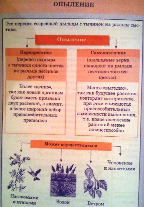 Что такое опыление? типы опыления, как опыляется? можно большим ответом).