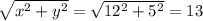 \sqrt{x^{2}+y^{2}} = \sqrt{12^{2}+5^{2}} = 13