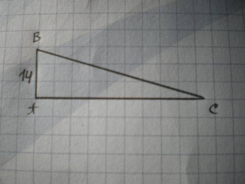 Катет прямоугольного треугольника=14 см а косинус противолежащего угла =24/25.найти другие стороны э