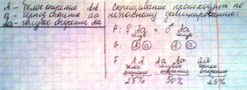 Белые куры белое потомство.черные куры черное потомство.белая и черные особи голубое потомство. каки