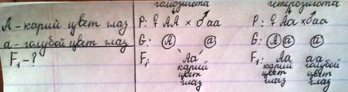 Учеловека ген карих глаз доминирует над геном голубых ,какое потомство можно ожидать от брака ,кариг