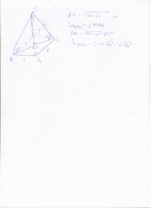 Стороны оснований правильной четырехугольной пирамиды равны 6см и 8см.найдите площадь диагонального 