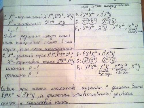 1. могут ли нормальные по гемофилии мужчина и жензина иметь гемофилика сына? почему? ? ! 2. при х дв