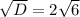 \sqrt{D}=2\sqrt{6}