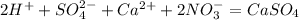 2H^++SO_4^{2-} + Ca^{2+} + 2NO_3^- = CaSO_4 