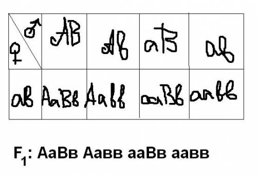 Постойте решетку пеннета, мне для самопроверки нужна ваша aabb & aabb