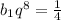 b_{1} q^{8}= \frac{1}{4} 