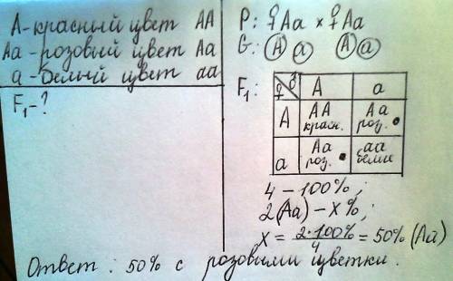 Впотомстве, полученном от чкрещивания двух красно-цветковых гетерозиготных растений, были растения к