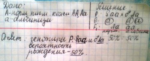 Альбинизм у человека наследуется как рецессивный признак,в семье,где один из альбинос, а другой имее