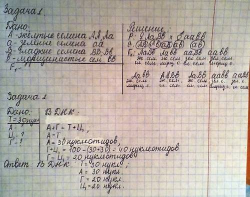 Решить завтро єкзамен 1 определите фенотипы растений гороха (семена желтые - а, зеленые-а, гладкие-в