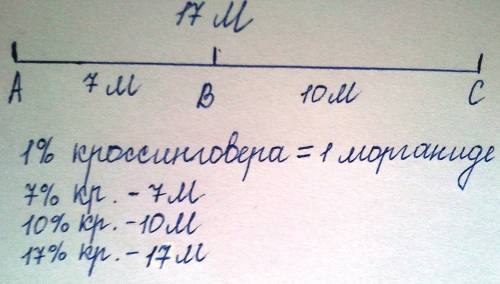 Вероятность кроссинговера между генами а и в – 7%, между генами в и с – 10%, между генами а и с – 17