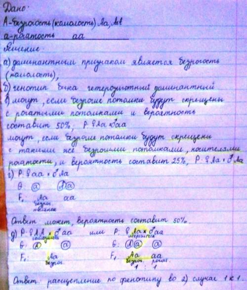 От скрещивания безрогого быка с рогатыми коровами получили 17 безрогих телят и 21 рогатого. все пред