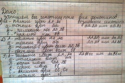 Напишите возможные генотипы челвека если по фенотипу у него: 1)тонкие губы и римский нос. 2)толстые 