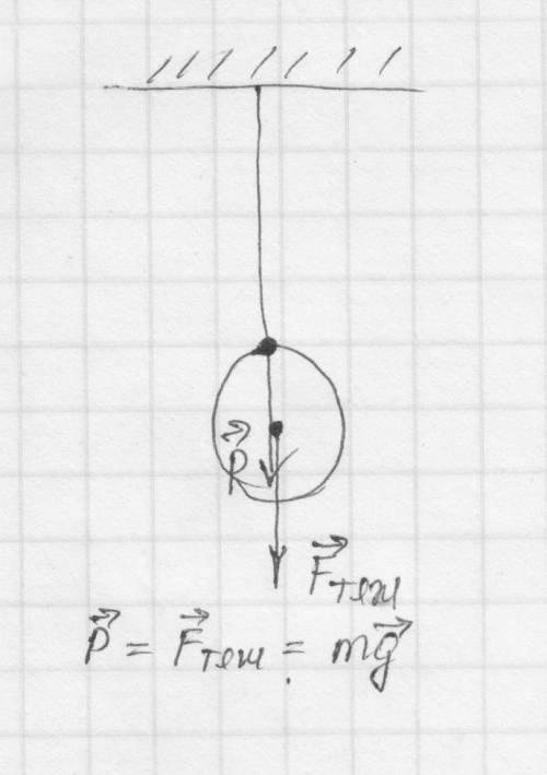 Медный шар весит на прочной нити и действует на нее с силой 10н. как называется эта сила? к чему она