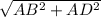 \sqrt{AB^{2}+AD^{2}} 