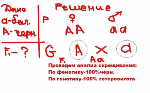 Белый кролик (aa) скрещивается с чёрным кроликом (аа). гибридные кролики скрещиваются между собой. к