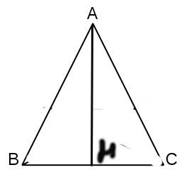 Втреугольнике авс ас=вс, ан- высота, cos bac =12/13. найдите tg bah