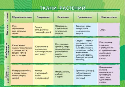 Сторона основания правильной четырехугольной призмы ABCDA1B1C1D1 равна 4 см, а боковое ребро 5 см. Н