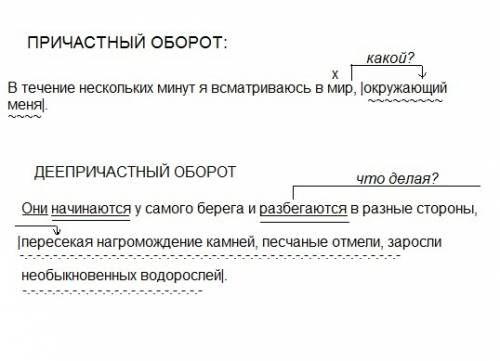 Лицо, в действиях которого содержатся признаки состава преступления, предусмотренного ст.307 УК РФ –