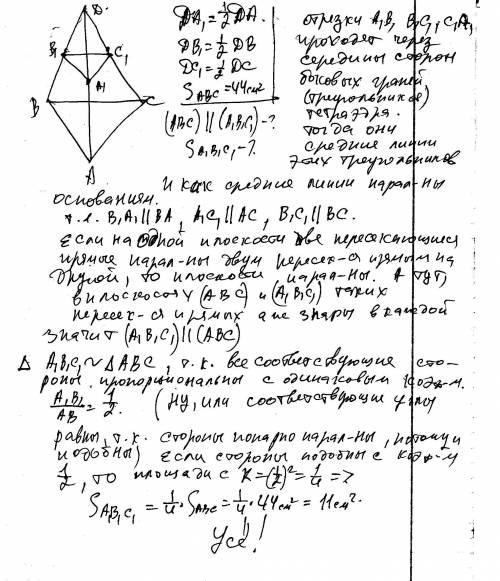 Какие религиозные представления скифов заставляли их хоронить слуг царя вместе с господином? Как объ