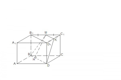 Abcda1b1c1d1 - прямоугольный параллелепипед, ab=ad=8 дм, aa1=2дм. найдите площадь сечения bmkd, где 