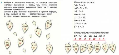 В чём особенность питания грибов?