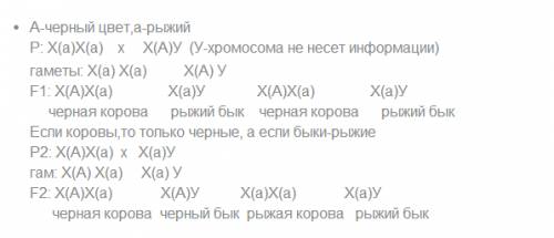 Какова тема текста? Озаглавьте его. Выпишите ключевые слова и словосочетания, затем, опираясь на них