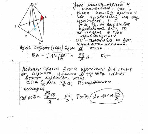Все ребра правильной треугольной пирамиды равны между собой. найдите косинус угла между боковым ребр