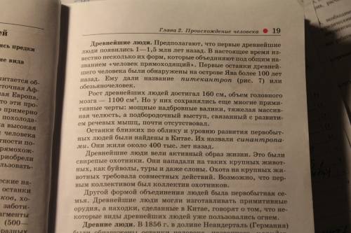 Дайте сравнительную анатомическую характеристику черепа австралопитеков и древнейших людей. отметьте