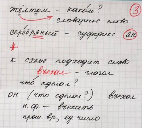 Какова вероятность проявлении признаков прабабушки?