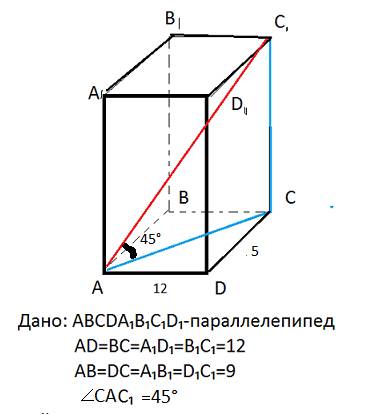 Прочитайте текст и определите, о каком растении в нём говорится. ответить на этот вопрос вам содержа