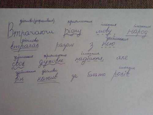 Идеологическую поддержку шведскому войску во время похода на Русские земли оказывала