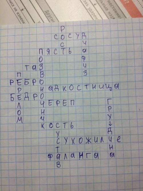 Занятия, направленные на обобщение материала по какому-либо разделу программы и требующие большой по