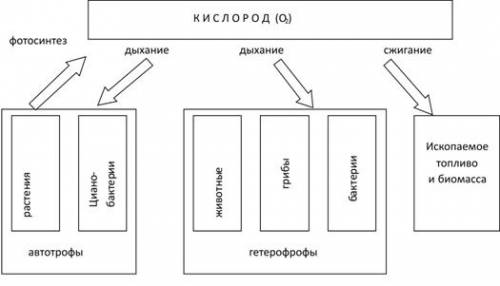 Понятие отношения» ввел: