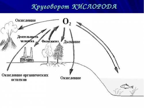 Понятие отношения» ввел: