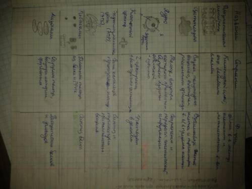 Сделать таблицу часть клетки строение функции 1мембрана 2пластиды 3 аппарат гольдже 4 митохондрии 5 