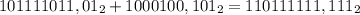 101111011,01_{2}+1000100,101_{2}=110111111,111_{2}