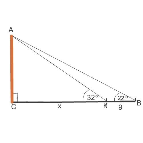 Для вычисления высоты дерева на земле отметили две точки p и q, расположенные на одной прямой с дере