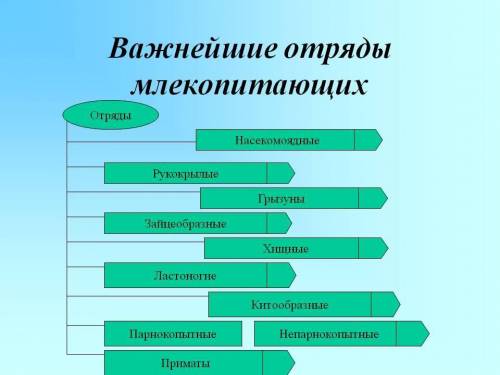 Нужна таблица по биологии на тему планцентные млекопитающие,грызуны зайцеобразные непарнокопытные па